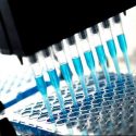 High-throughput screening