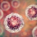 Stem cells