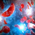 Red blood cells