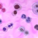 Cancer cells