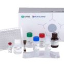 PrismA ELISA kit