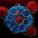 CAR-T cells attack cancer cells