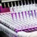 Microplate