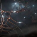 Remyelination
