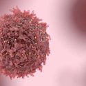 Cancer cell