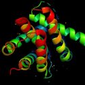 3d structure of the protein molecule