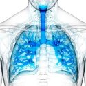 Fibrosis lungs