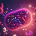 The microbiome
