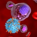 CAR-T in multiple myeloma