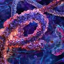 3D protein molecules structure