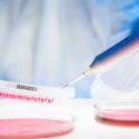 Scientist pipetting in the lab