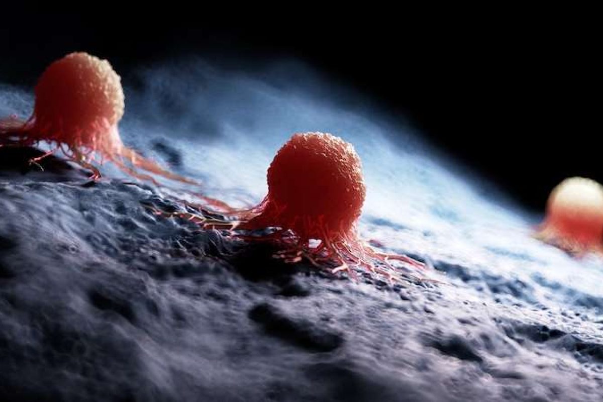Shining a light on the surfaceome – the new frontier in cancer drug ...