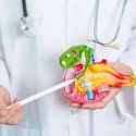 Bile duct