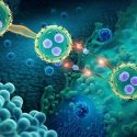 CAR-T therapy