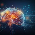 Neuroscience