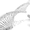Cell and gene therapy